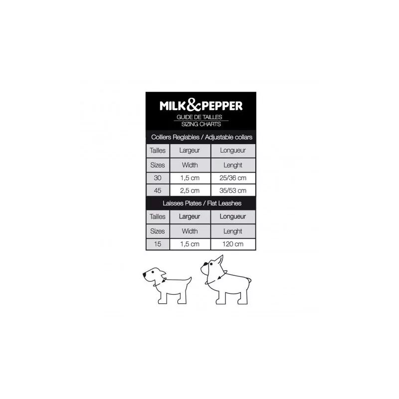 copy of 